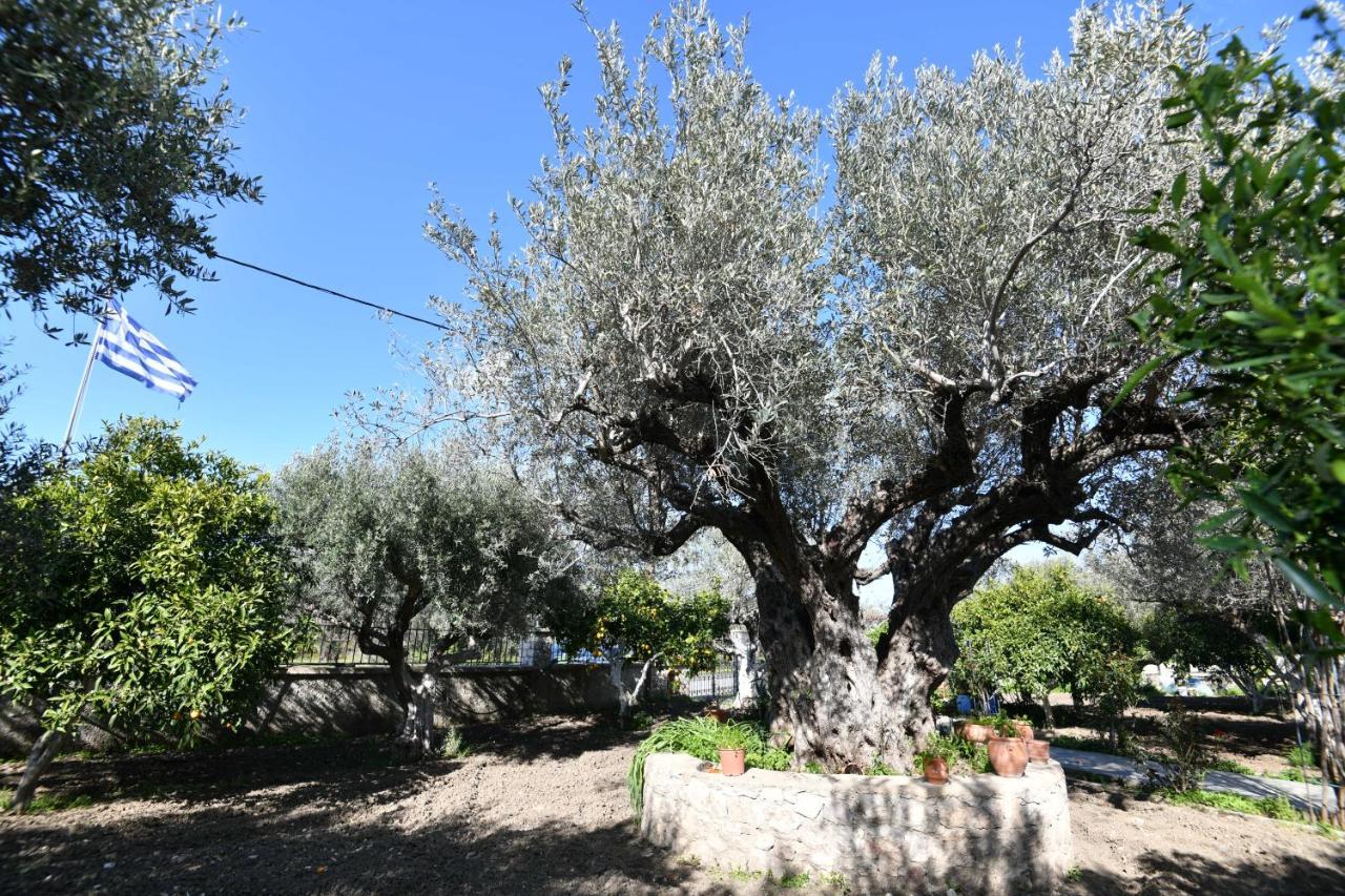 Villa Kavalino Kolymbia Exterior foto