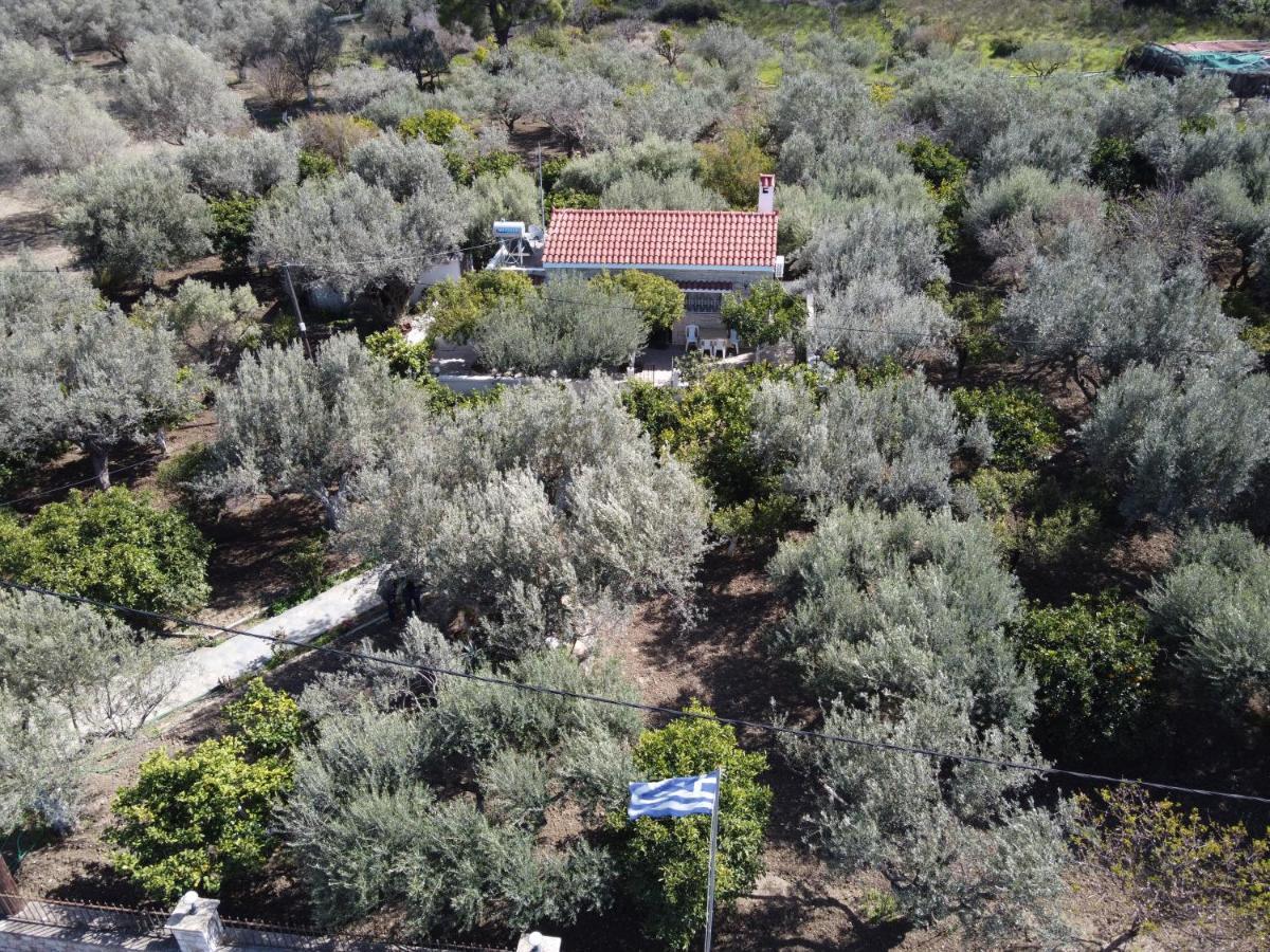 Villa Kavalino Kolymbia Exterior foto