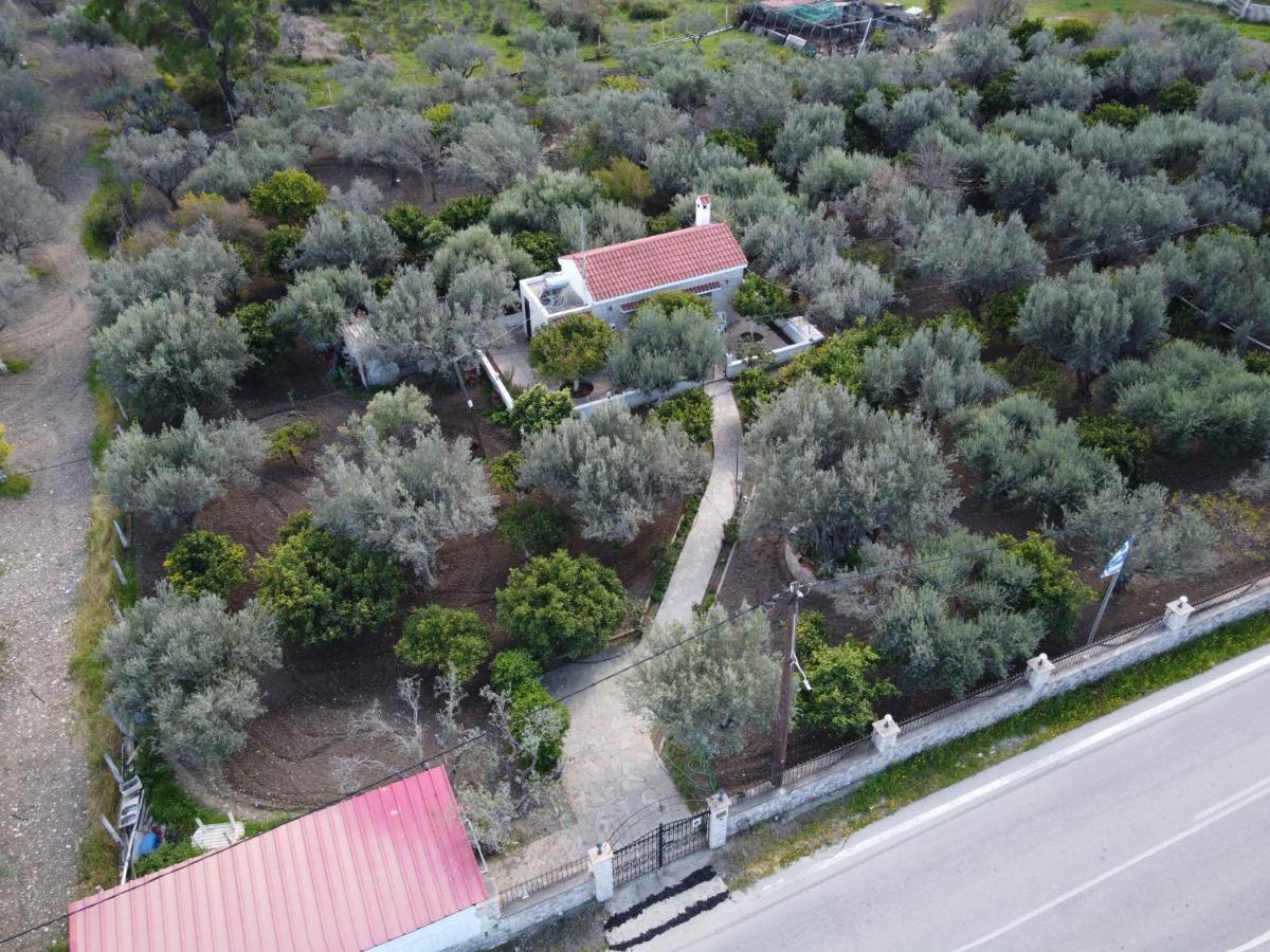 Villa Kavalino Kolymbia Exterior foto