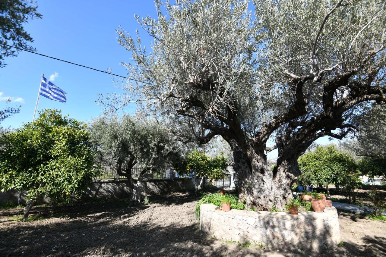 Villa Kavalino Kolymbia Exterior foto
